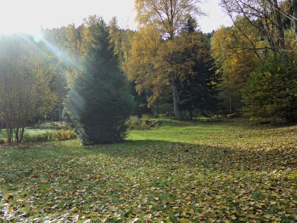 Hotel-Spa & Restaurant Logis Domaine Langmatt Murbach Luaran gambar