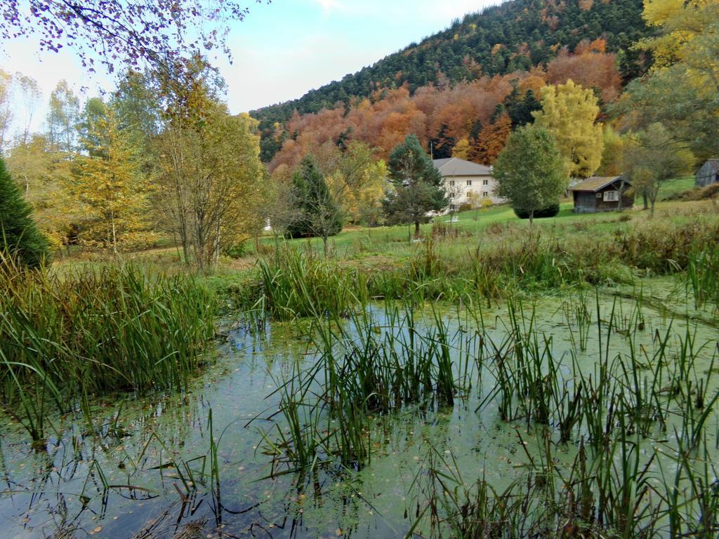 Hotel-Spa & Restaurant Logis Domaine Langmatt Murbach Luaran gambar
