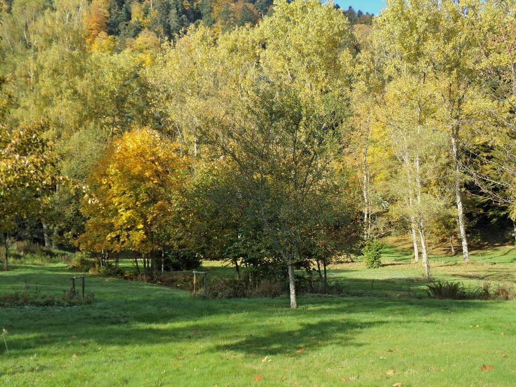 Hotel-Spa & Restaurant Logis Domaine Langmatt Murbach Luaran gambar