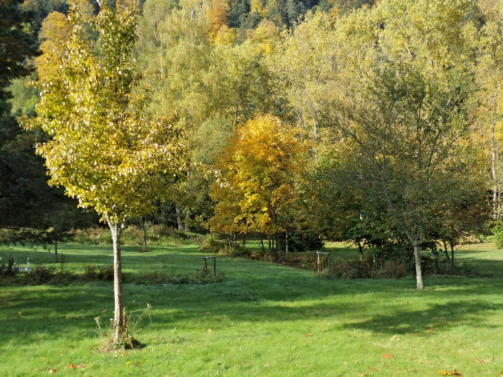 Hotel-Spa & Restaurant Logis Domaine Langmatt Murbach Luaran gambar
