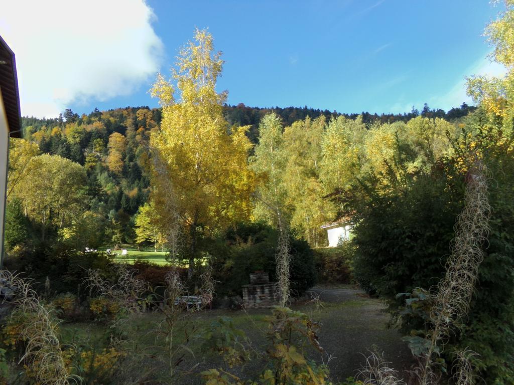 Hotel-Spa & Restaurant Logis Domaine Langmatt Murbach Luaran gambar